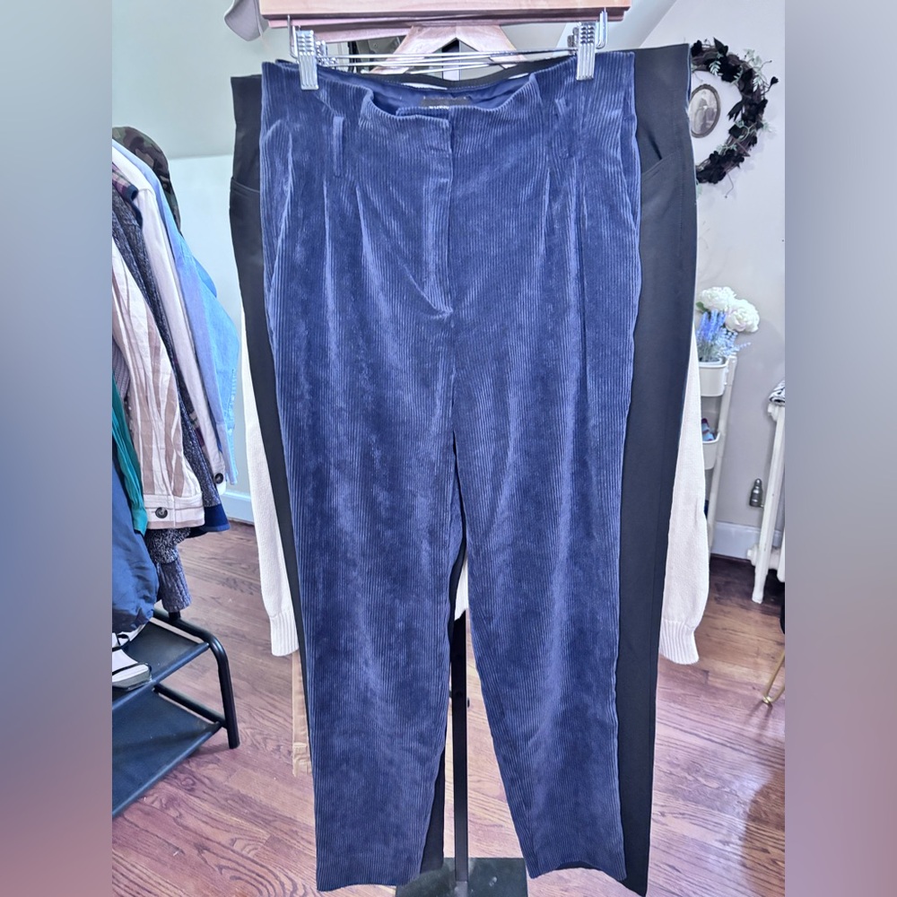 Express Blue Corduroy Pants